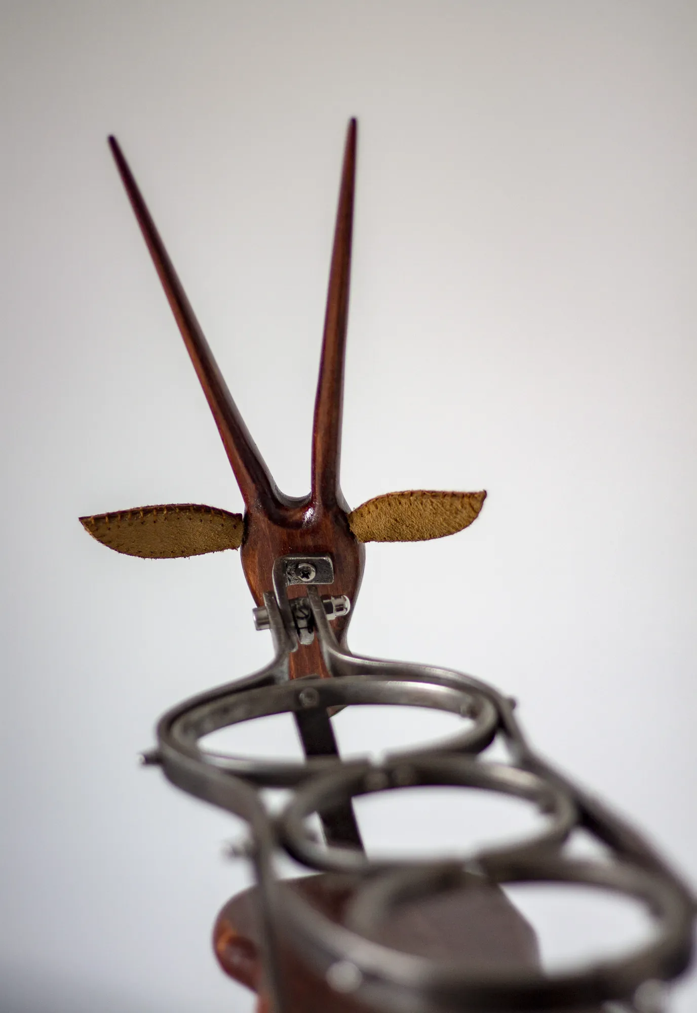 ANTELOPE, 4
