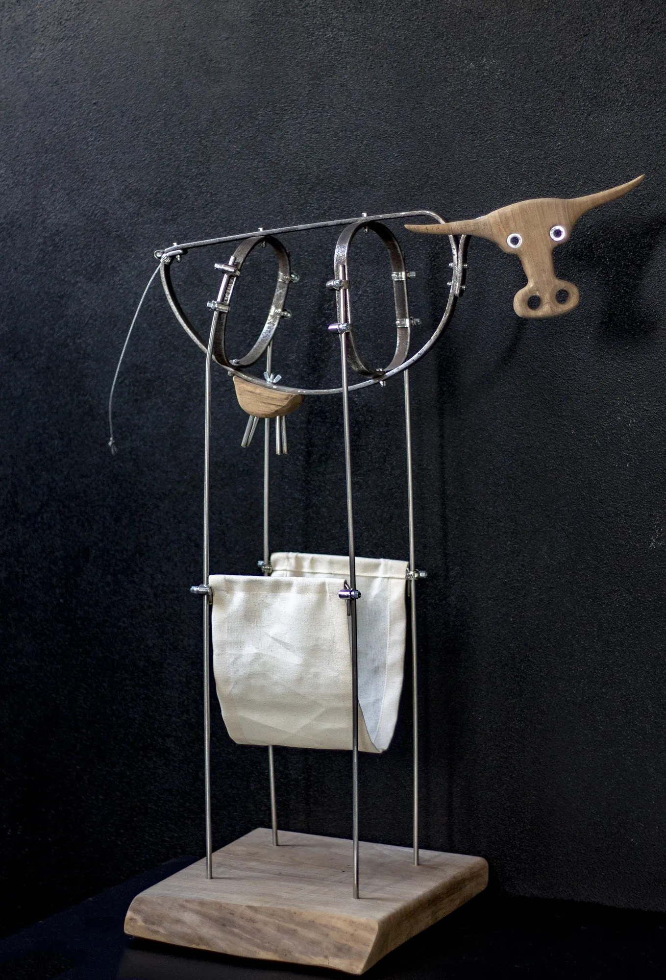 mucca-allegra, 1