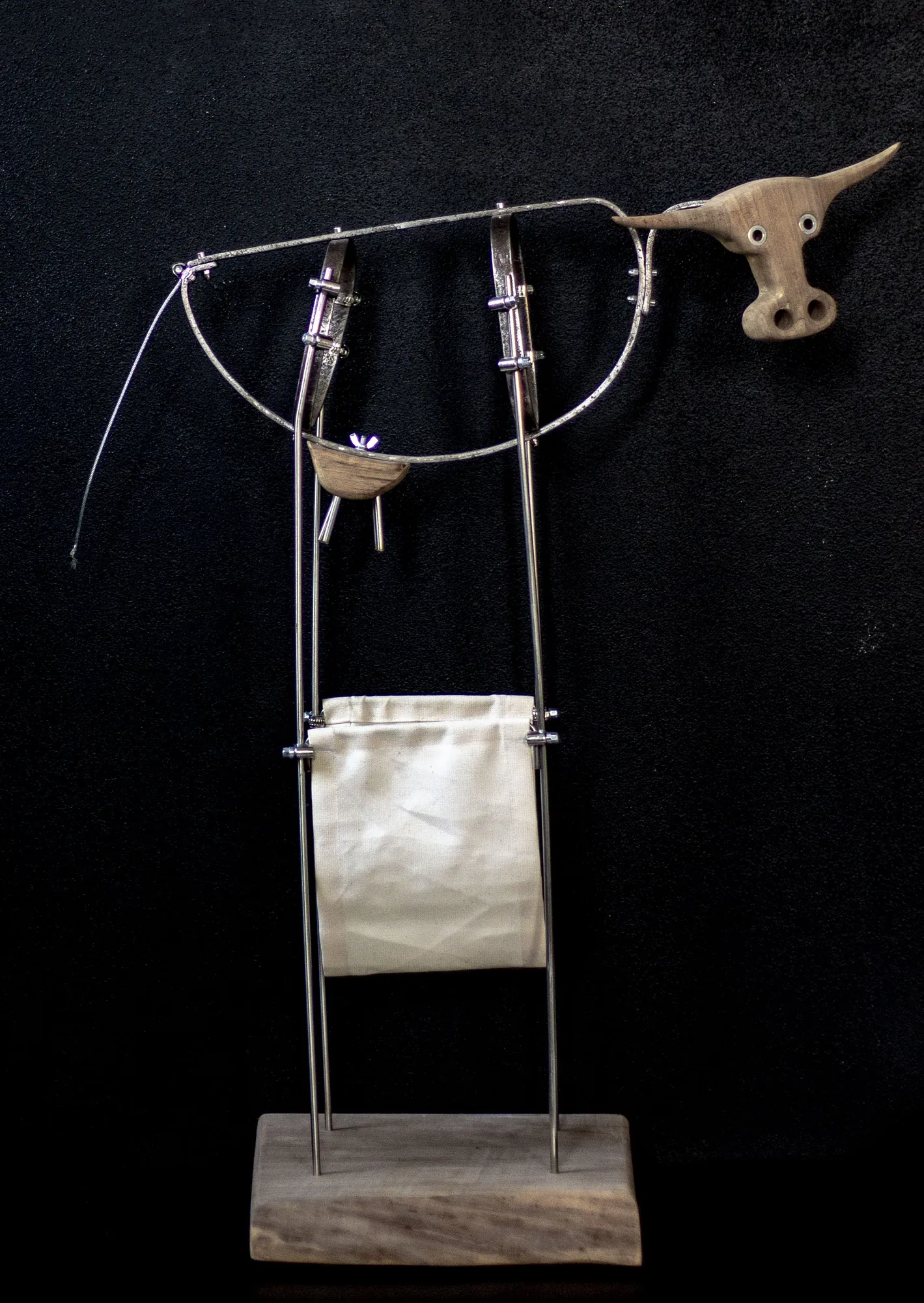 mucca-allegra, 2