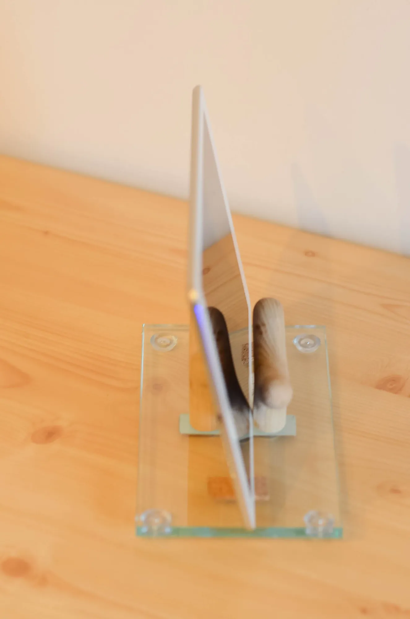 twins-glass, 4