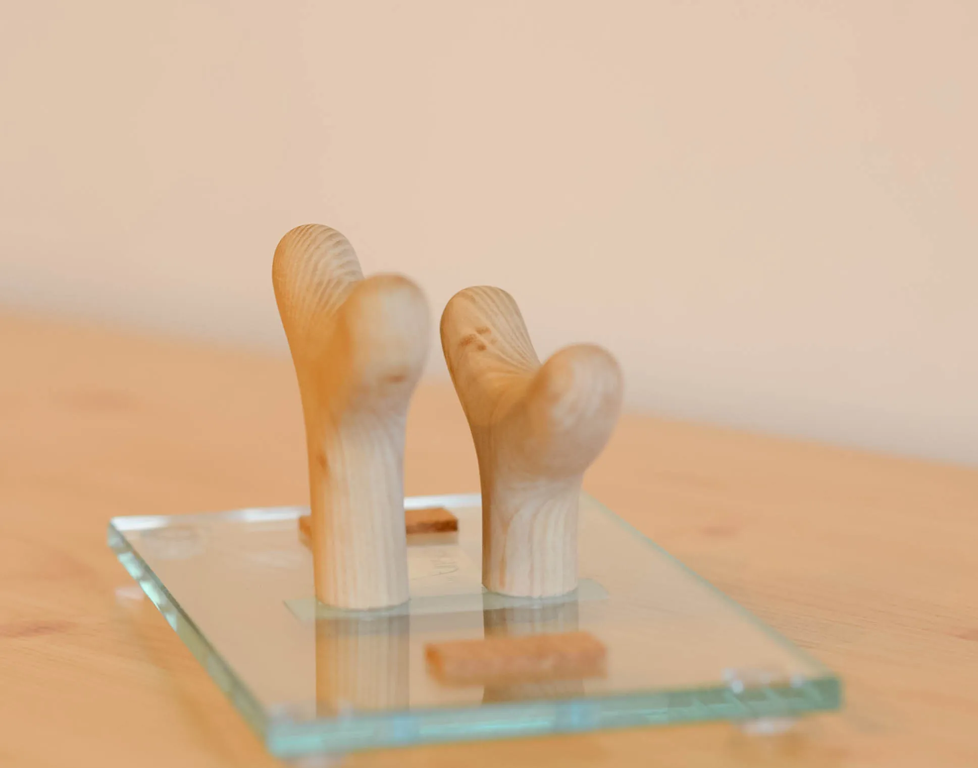 twins-glass, 5